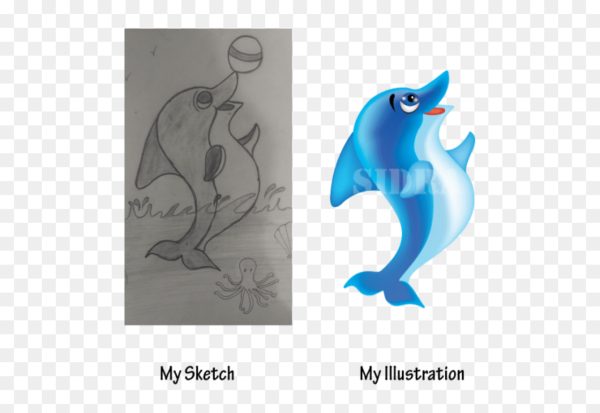 Common Bottlenose Dolphin, HD Png Download - dolphin vector png