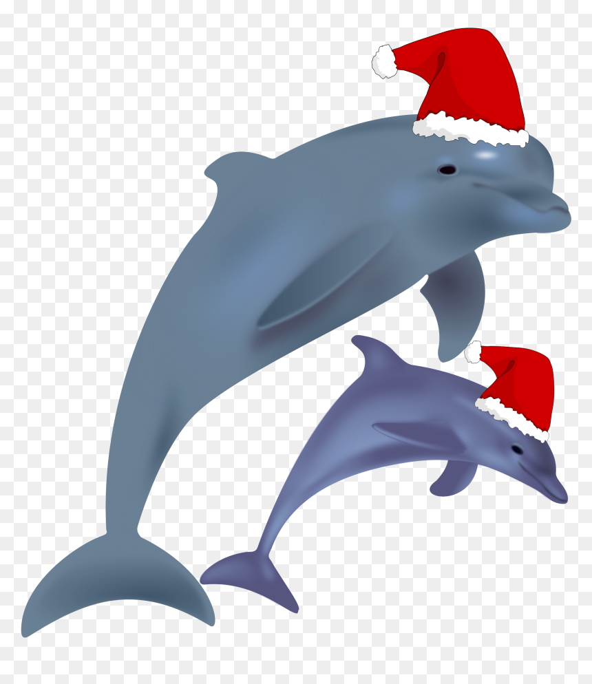 Common Bottlenose Dolphin Jumping Clip Art Christmas - Dolphin With Christmas Hat, HD Png Download - dolphin jumping png