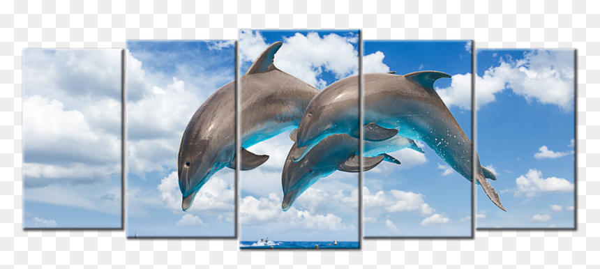 Sealife & Ocean Canvas - Cute Dolphin Jumping Png, Transparent Png - dolphin jumping png