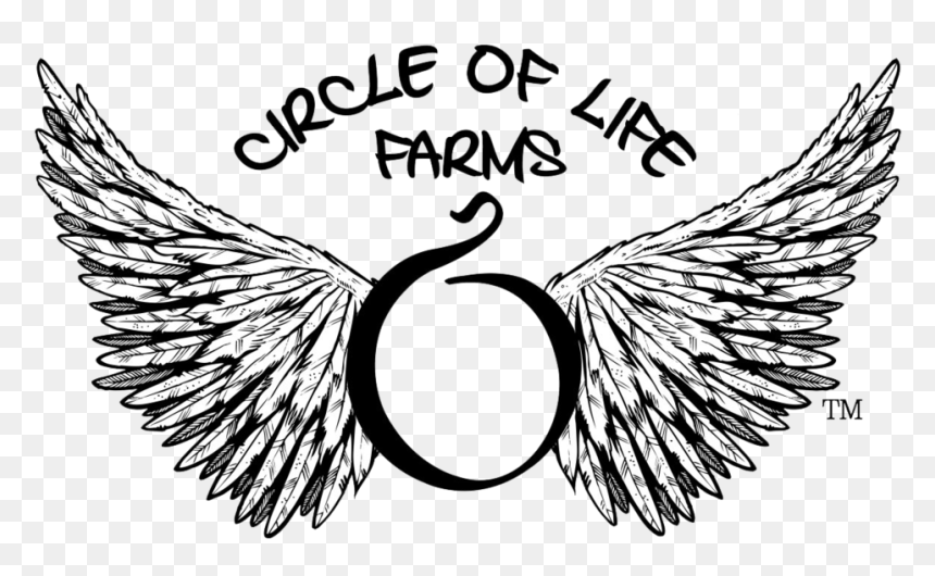 Circle Of Life Farms 😀 - Band Logo, HD Png Download - champa png