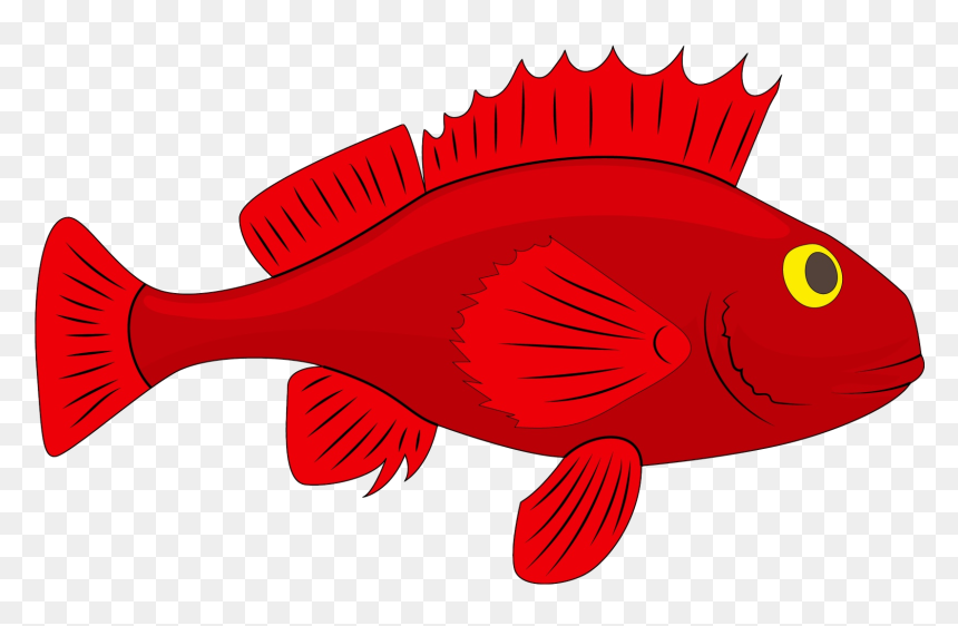 Fish For Taiapure - Ocean Clipart Fish Images Cartoon, HD Png Download - red fish png