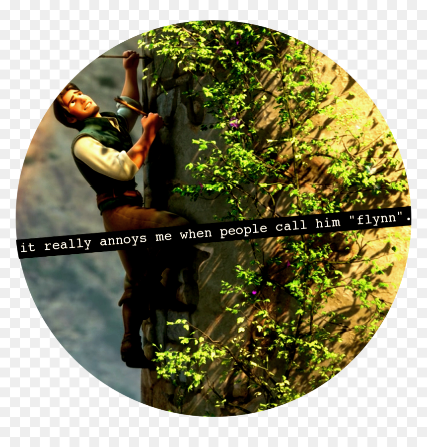 Circle, HD Png Download - tangled pascal png