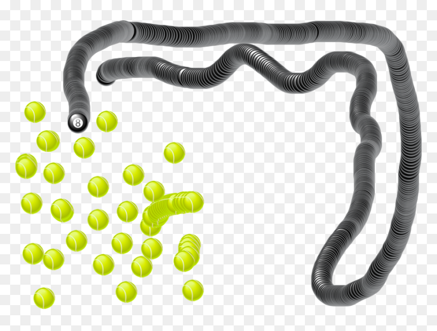Common Kingsnake, HD Png Download - slither.io snake png
