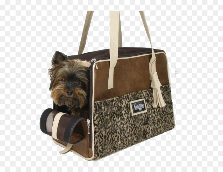 Yorkshire Terrier, HD Png Download - ocelot png