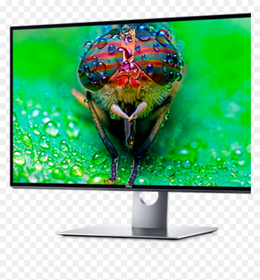 Dell 8k Monitor, HD Png Download - old computer monitor png