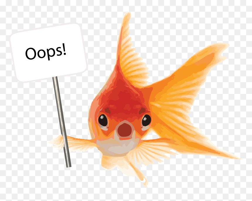 Goldfish Animal, HD Png Download - red fish png