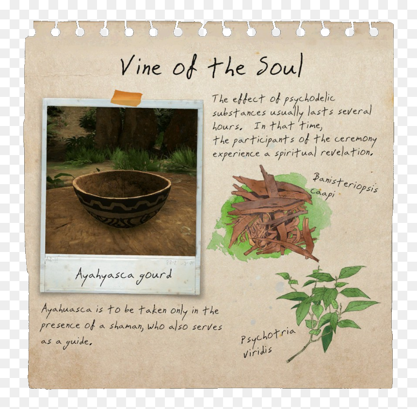 Vine Of Soul Notebook Page - Herbal, HD Png Download - notebook page png