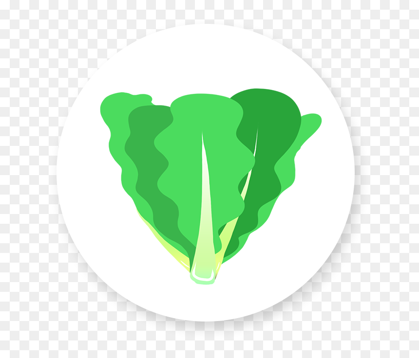 Illustration Clipart , Png Download - Illustration, Transparent Png - romaine lettuce png
