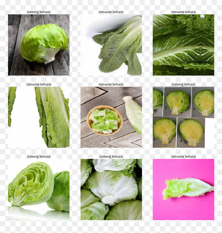 Cruciferous Vegetables, HD Png Download - romaine lettuce png
