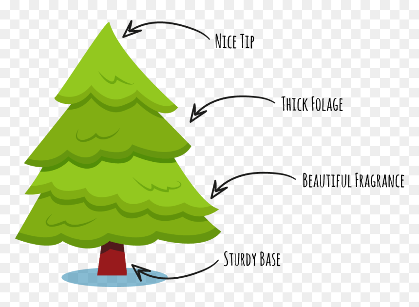 Christmas Tree, HD Png Download - christmas tree branches png