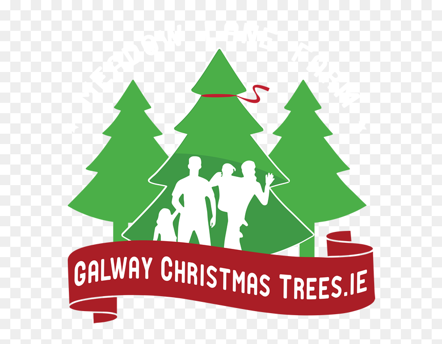 Galway Christmas Trees - Christmas Tree Logo, HD Png Download - christmas tree branches png
