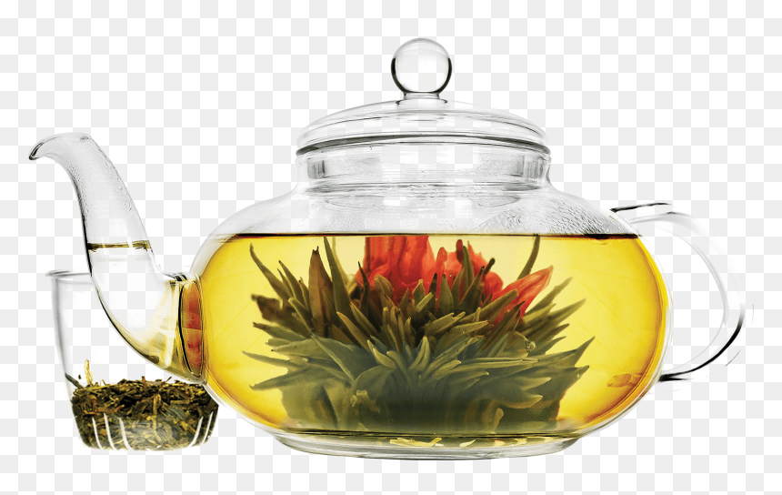 Daisy 40 Oz Glass Teapot No Background - Primula Tea, HD Png Download - 40 oz png