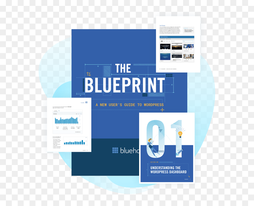 Beginner"s Guide - Mick Fleetwood Blues Band Blue, HD Png Download - bluehost logo png