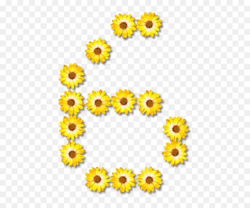 Sunflower Seed,chrysanths,plant - Floral G Clip Art, HD Png Download - sunflower seed png