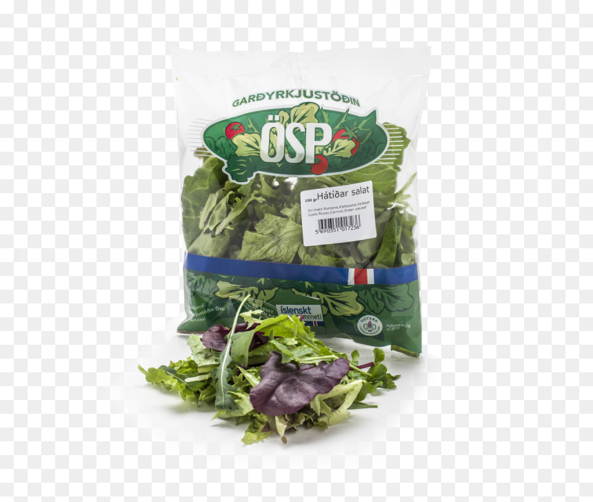 Festival Lettuce - Romaine Lettuce, HD Png Download - romaine lettuce png