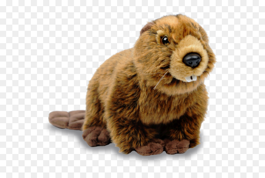 Plush - Stuffed Beaver Png, Transparent Png - bowser jr plush png