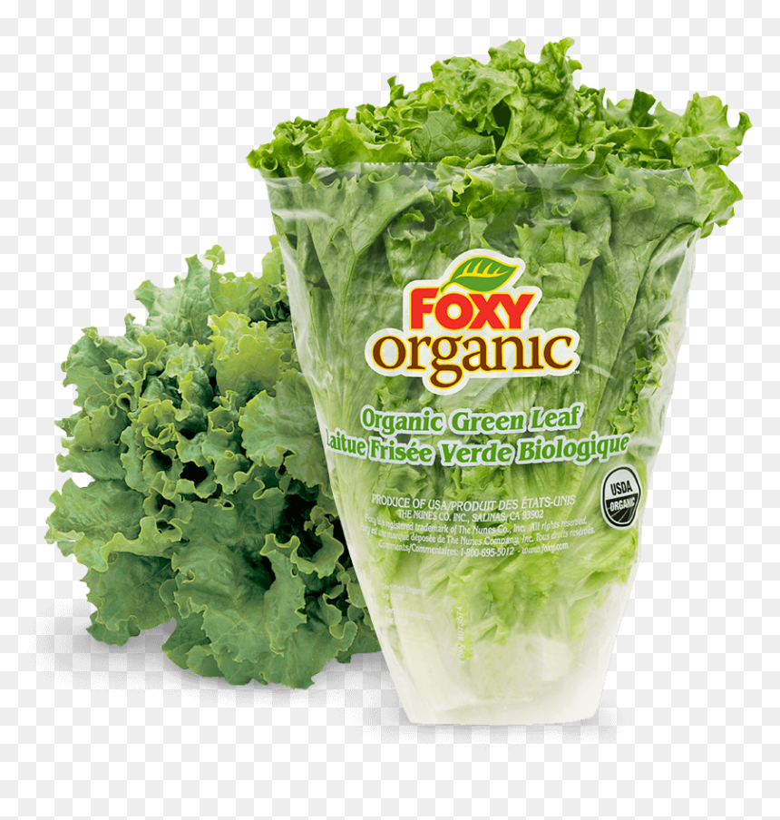 Broccoli, HD Png Download - romaine lettuce png