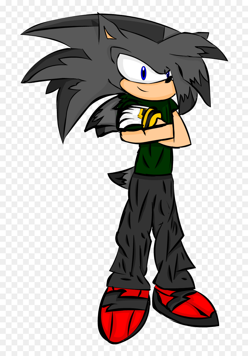 Transparent Sonic The Hedgehog Png - Blake The Hedgehog, Png Download - sonic heroes logo png