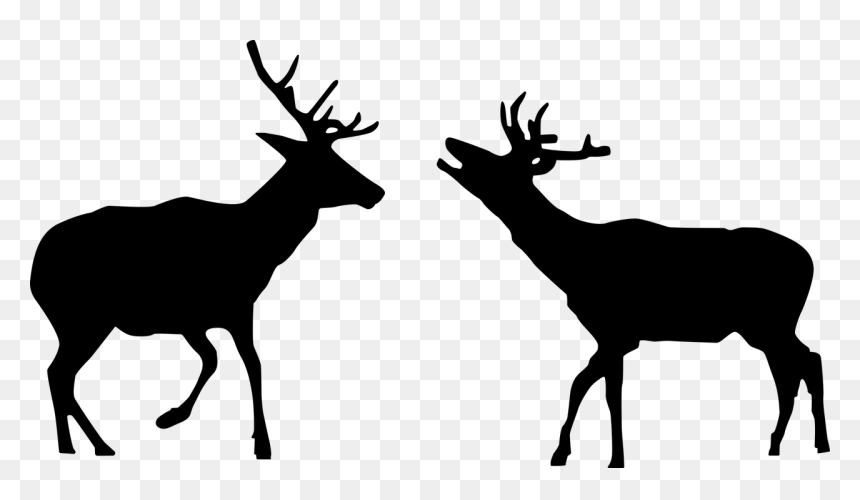 Elk, HD Png Download - buck silhouette png