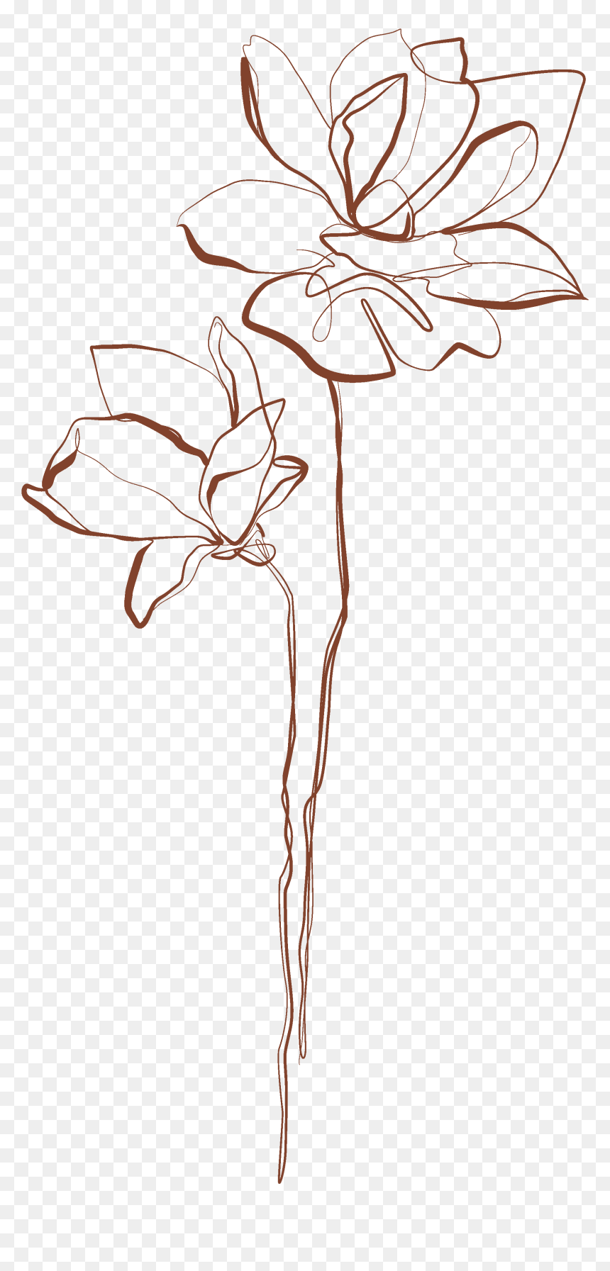 Lily, HD Png Download - nutmeg png