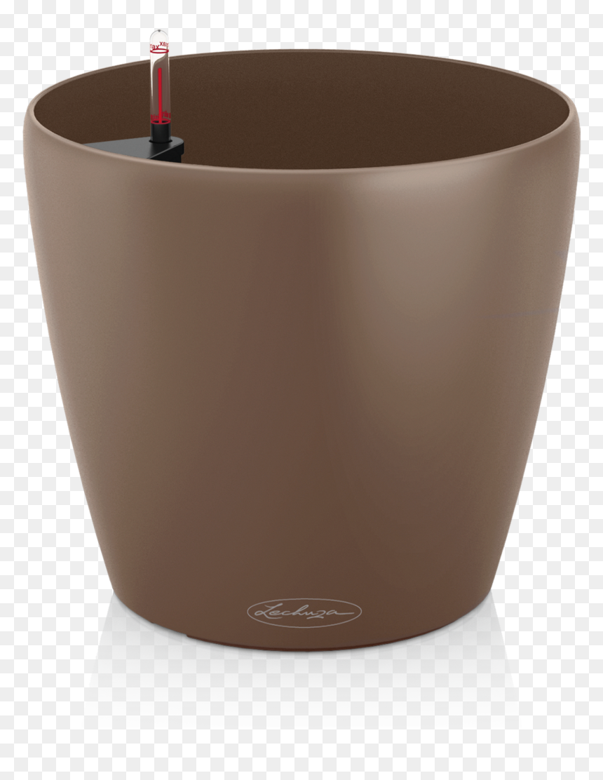 Lechuza Classico Color, HD Png Download - nutmeg png