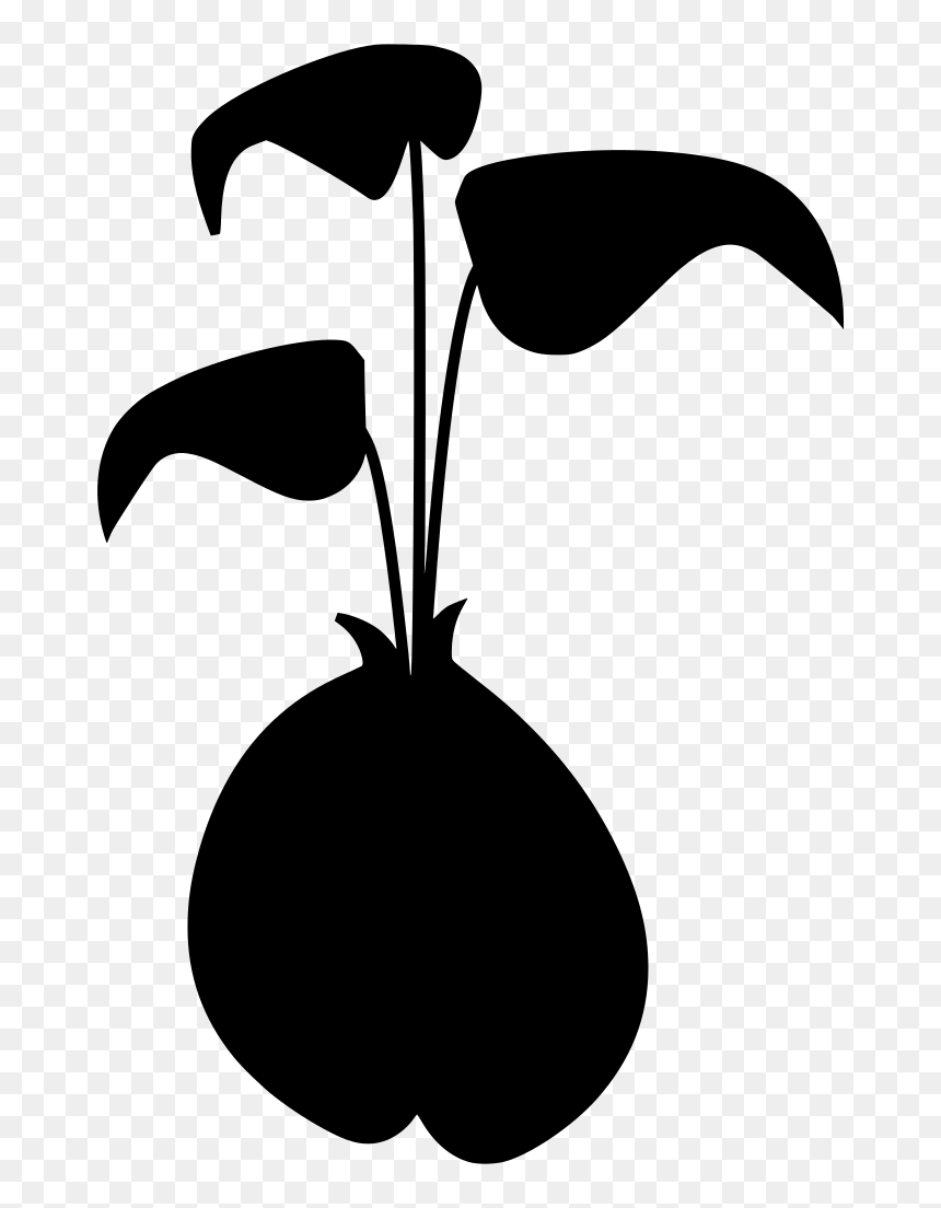 Sprouting Bean Clipart Transparent , Png Download - Clip Art, Png Download - bean plant png
