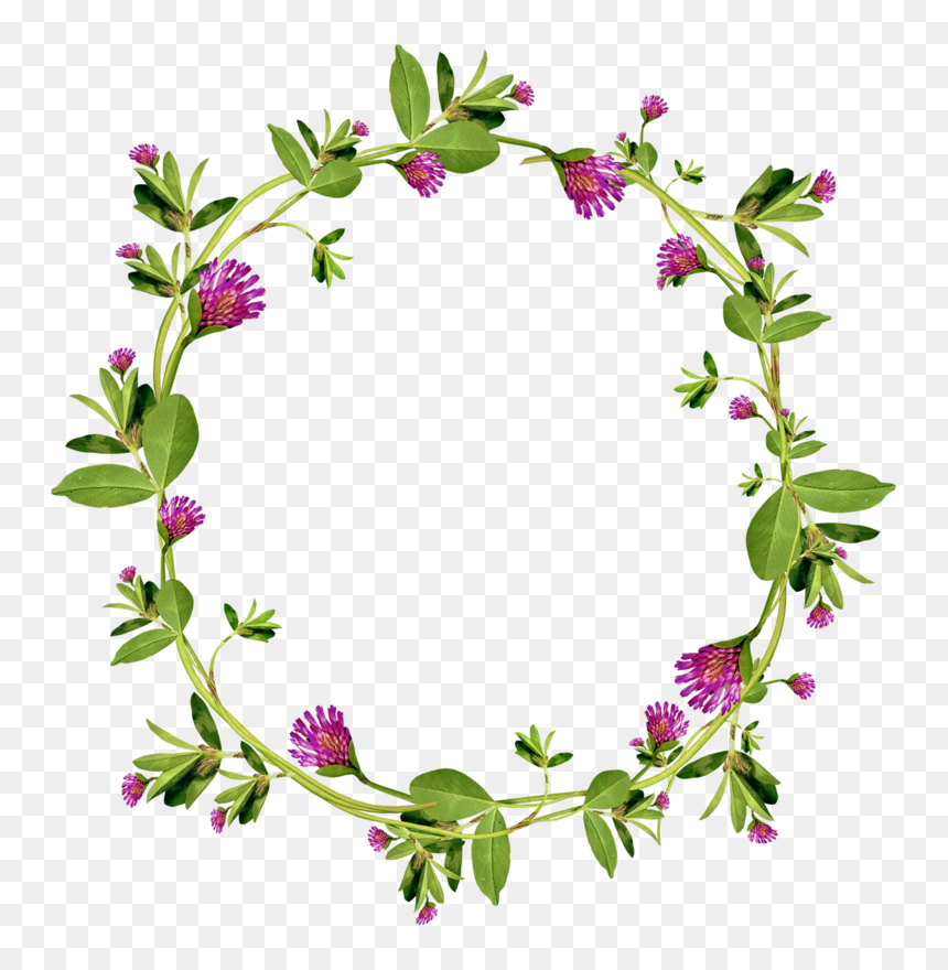 Garland Floral Design Wreath - Garland, HD Png Download - green flower crown png
