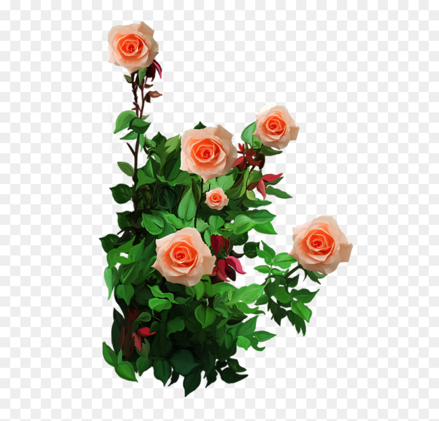 Yellow Rose Frame, HD Png Download - green flower crown png