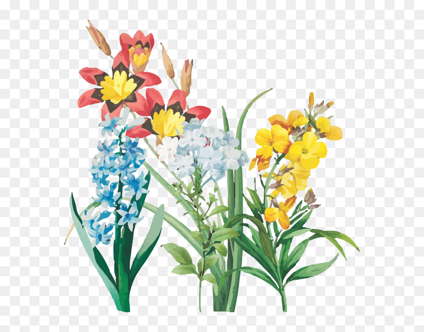 Flowering Plants And Trees East Lang Landscaping - Blue And White Flower Logo, HD Png Download - shrub png plan