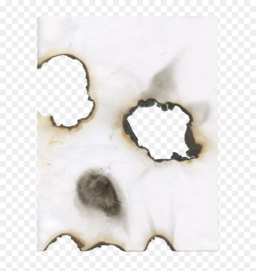 Burn3 - Visual Arts, HD Png Download - roast hand png
