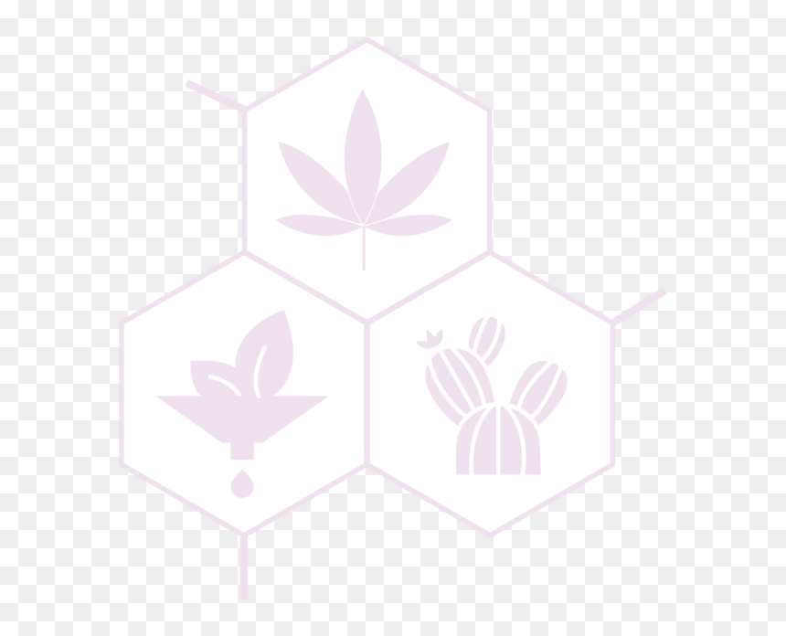 Cbd, Prickly Pear Seed Oil, And Portulaca Extract Logo - Emblem, HD Png Download - glowing cross png