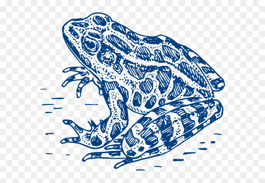 Frog Logo Svg Clip Arts - Frog Black And White, HD Png Download - blue frog png