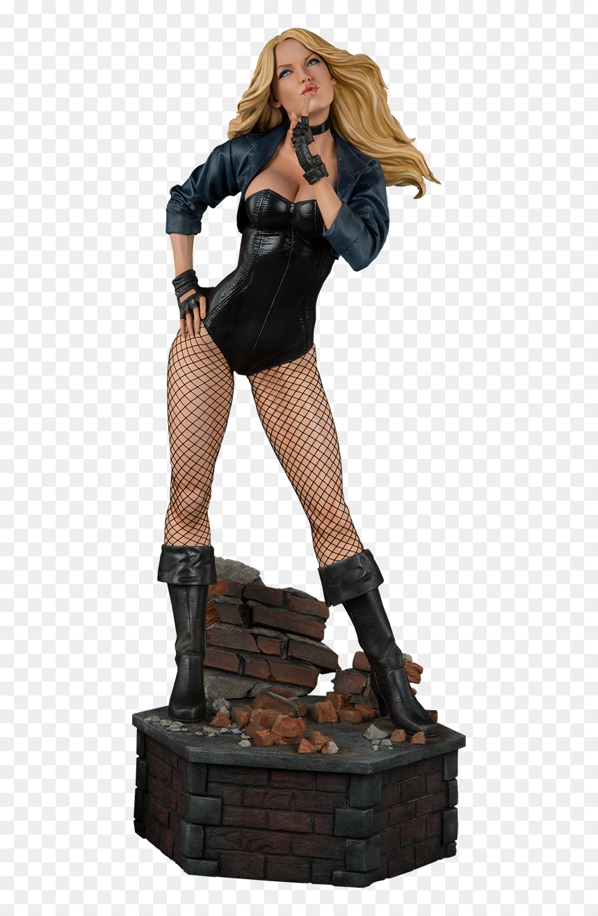 Green Arrow Black Canary Statue, HD Png Download - stocking anarchy png