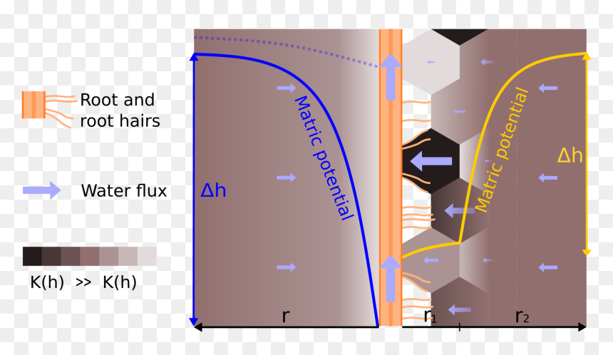 Diagram, HD Png Download - water flow png
