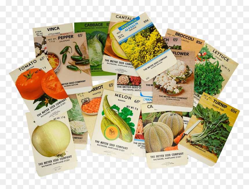 Natural Foods, HD Png Download - empty cornucopia png