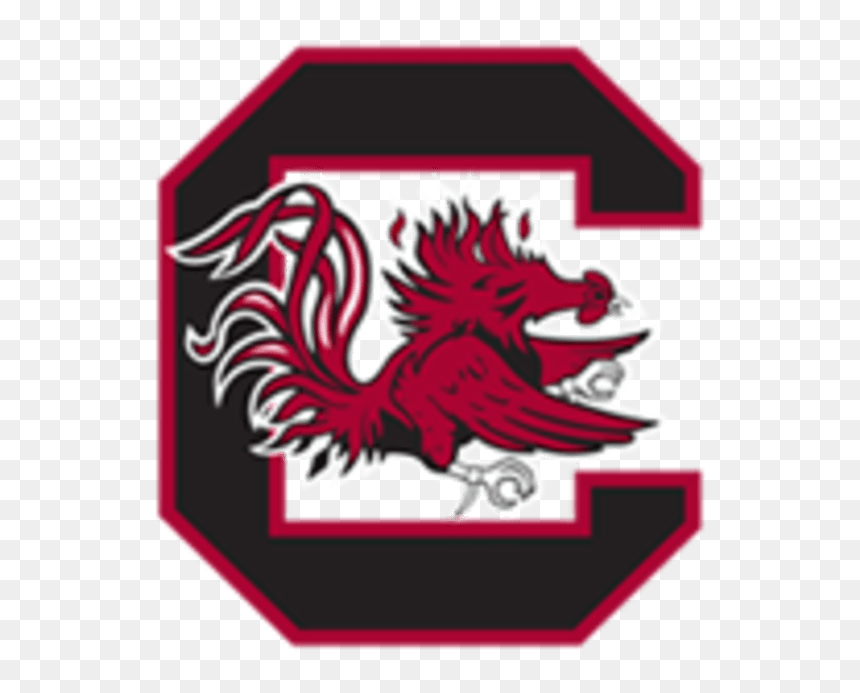 Image Placeholder Title - South Carolina Gamecocks, HD Png Download - tom felton png