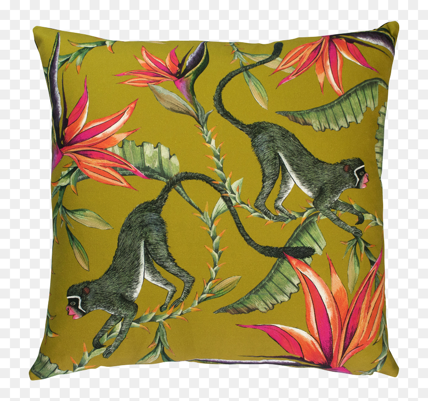 Ardmore Cushions, HD Png Download - spider monkey png