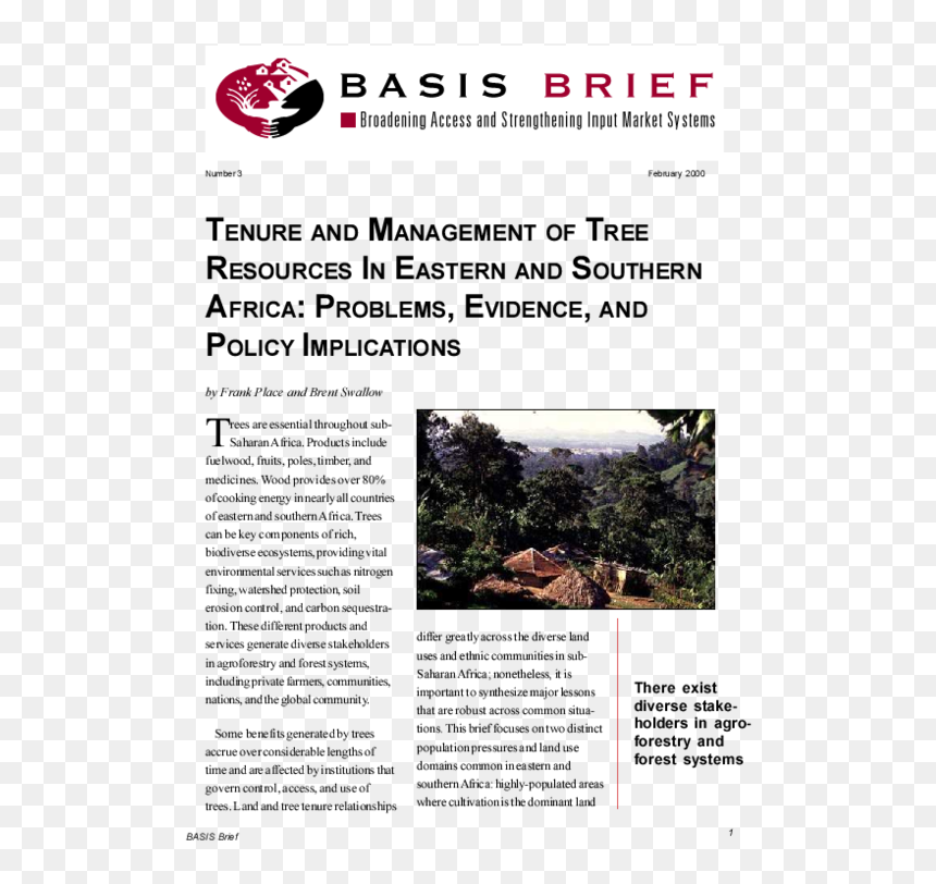 Tree, HD Png Download - africa tree png
