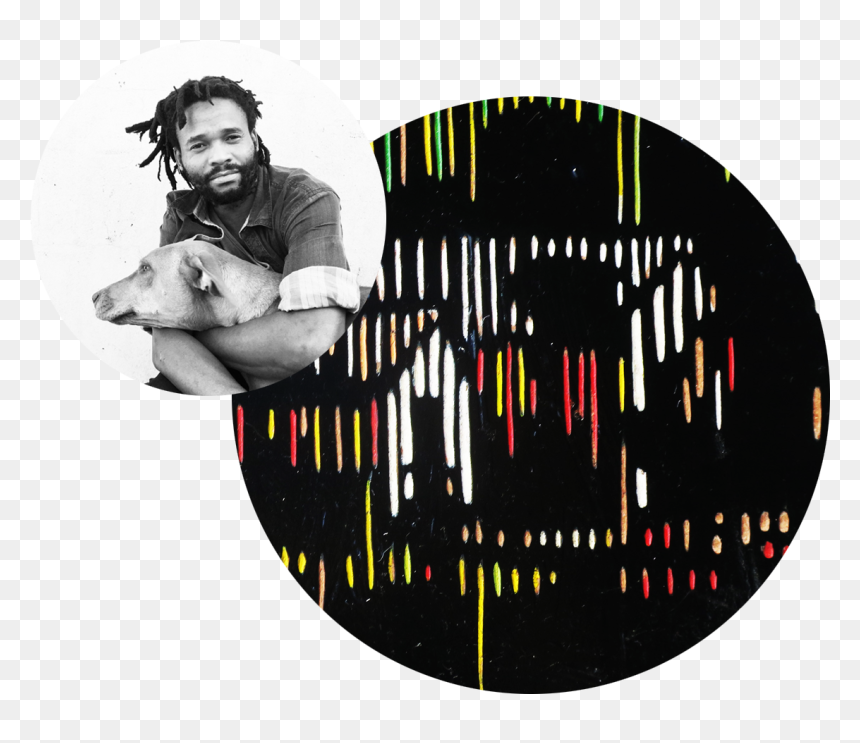 Album Cover, HD Png Download - africa tree png
