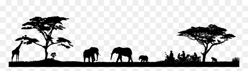 Motorcycle And Overland Renbtals Nd Tours In Southern - Indian Elephant, HD Png Download - africa tree png