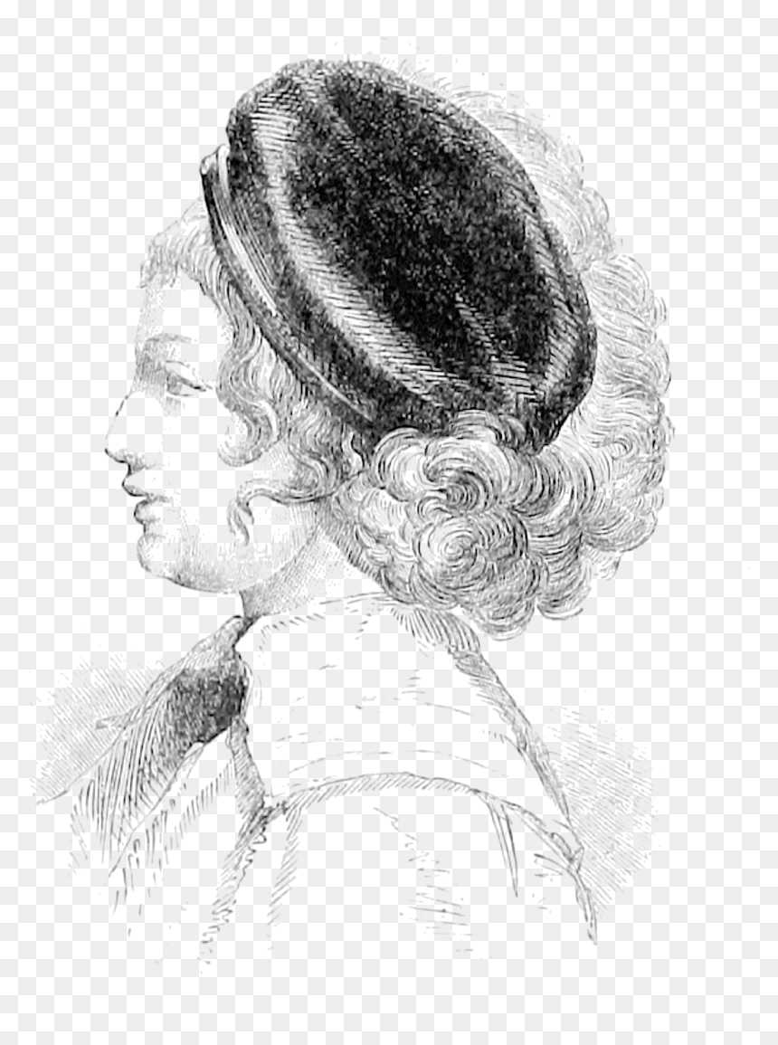 File - Nellgwensson - Sketch, HD Png Download - hair bun png