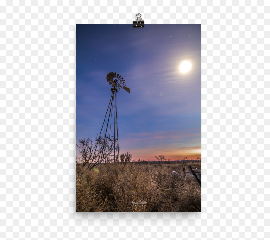 Tree, HD Png Download - bright moon png