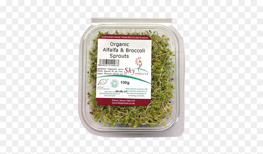 Moss, HD Png Download - alfalfa png