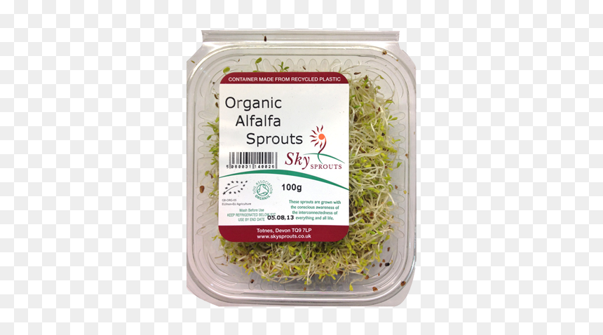 Mung Bean, HD Png Download - alfalfa png