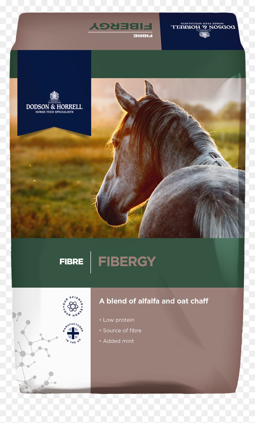 Alexander The Greats Horse Called, HD Png Download - alfalfa png