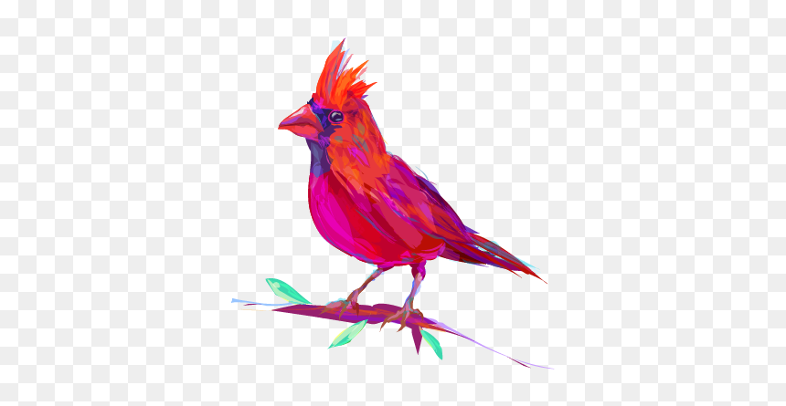 Cardinal Paperie Logos The Paperie Bird@2x - Oiseau Exotique Rouge, HD Png Download - cardinal bird png