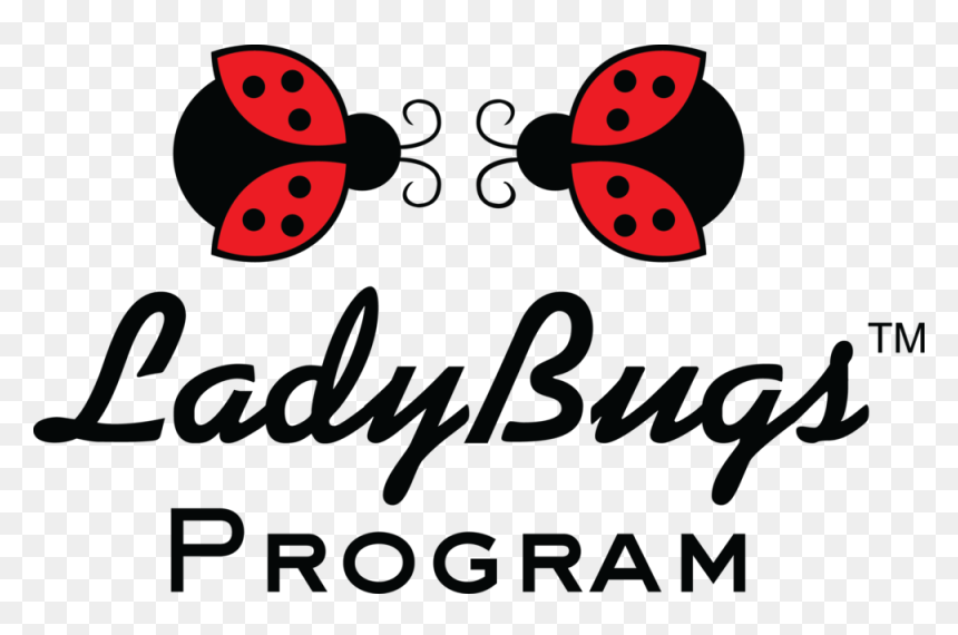 Ladybug, HD Png Download - ladybugs png