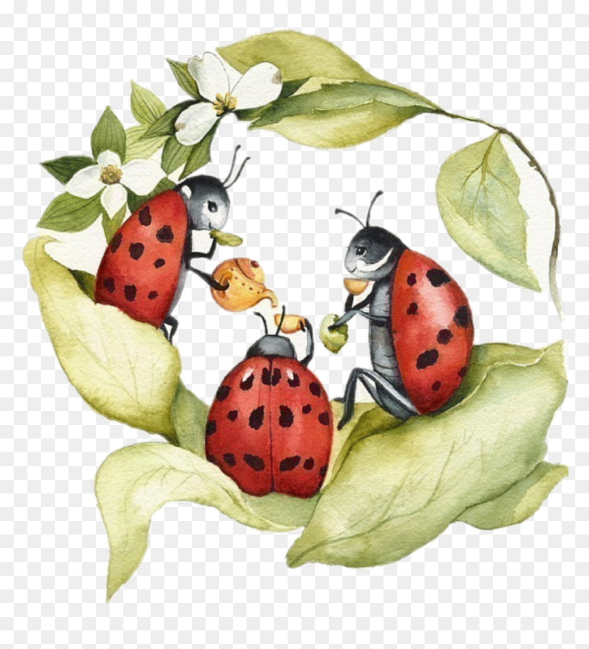 #ladybugs - Ladybug Art, HD Png Download - ladybugs png