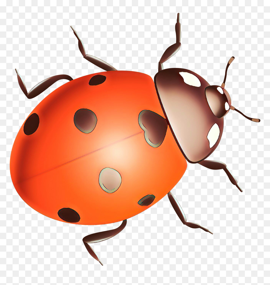 Ladybird Beetle Clip Art Pest Snout - Ladybug, HD Png Download - ladybugs png