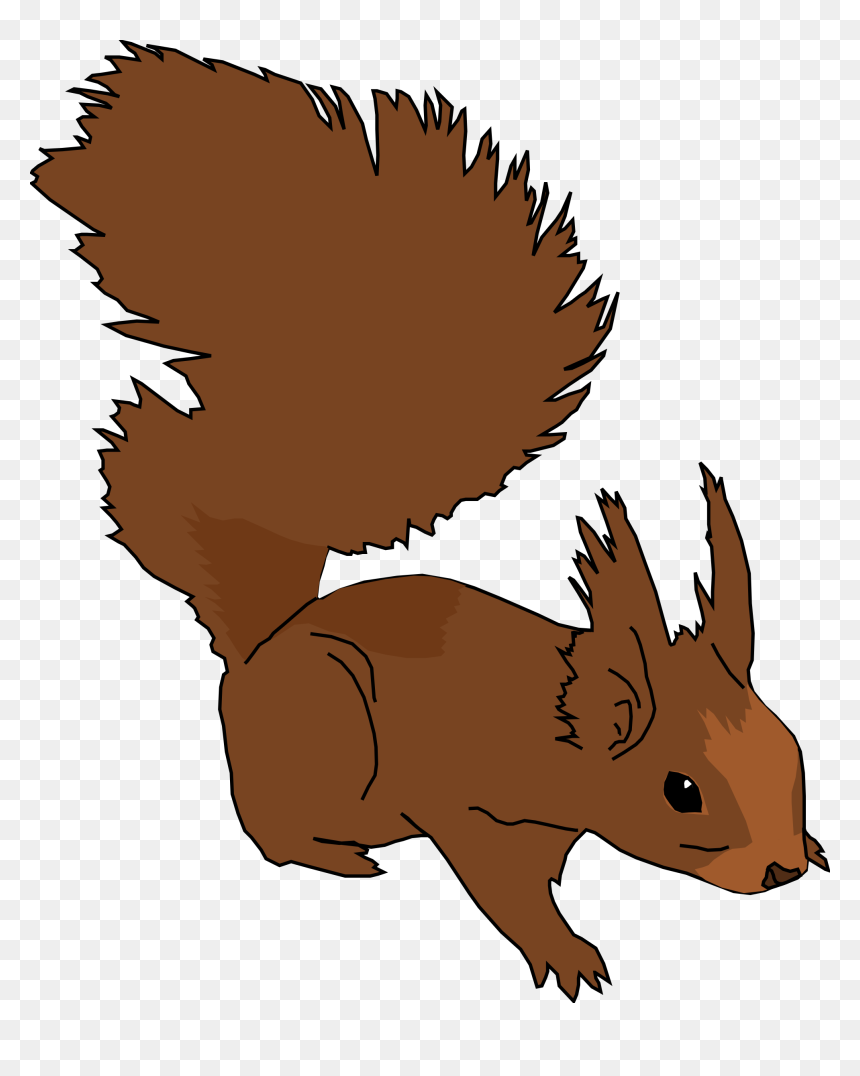 Ginger Coons Learns To Blog - Squirrel Clip Art, HD Png Download - cartoon squirrel png